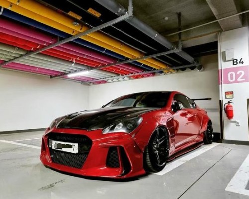 Transforming the Ordinary: Koolpaise Custom and the StanceNation Phenomenon